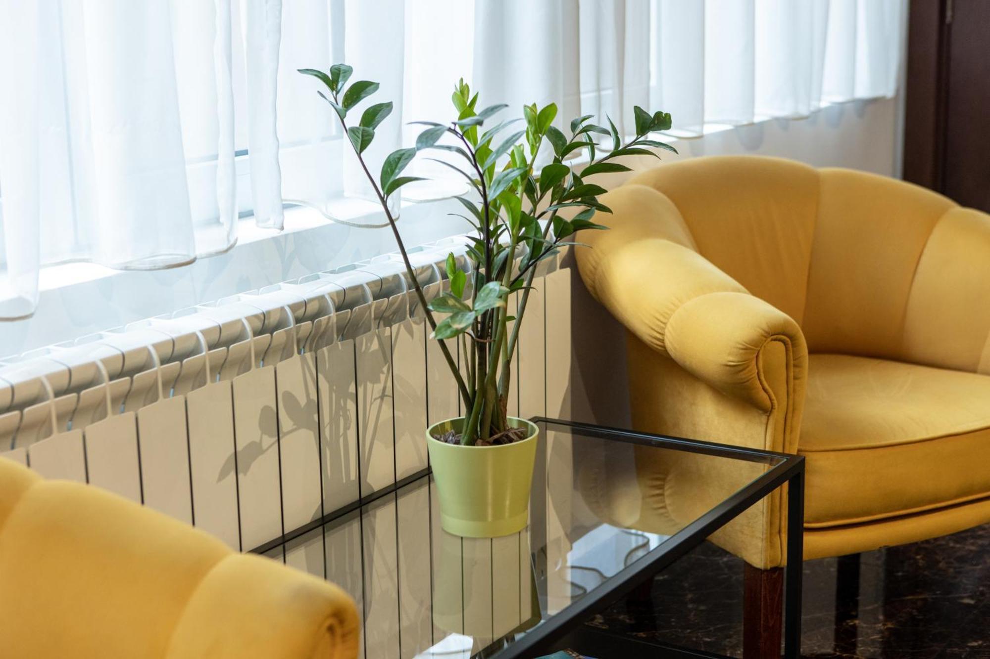Garni House 46 Plus Belgrado Esterno foto
